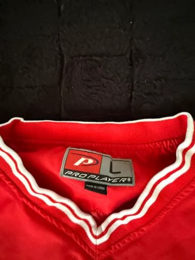 Vintage Ohio State pullover Windbreaker